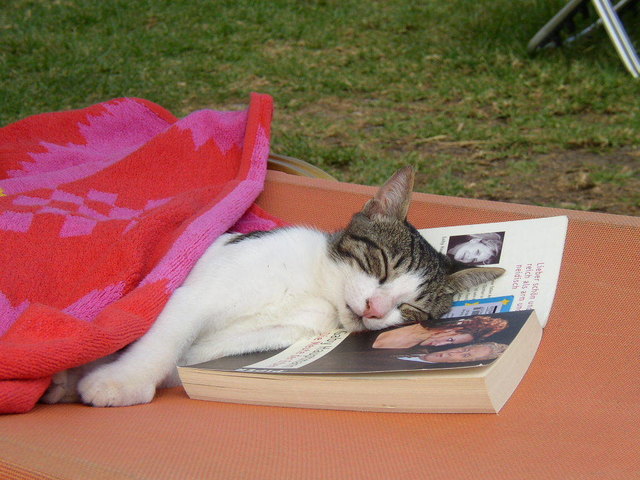 Meine Urlaubsbekanntschaft