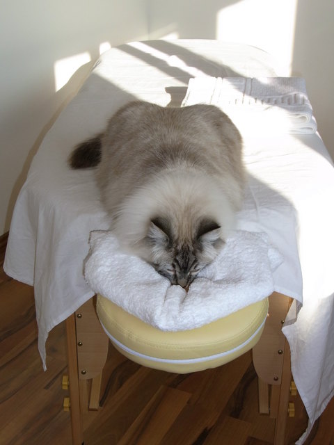 1 mal Rückenmassage für Vincent ;-)