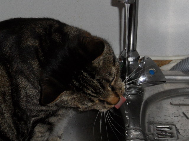 so schmeckt's am besten