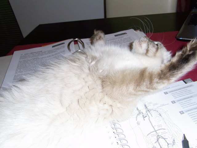 tja so geht es auch lt.vincent