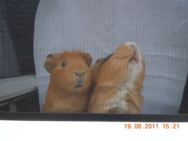 Hier liegt was in der Luft :-)