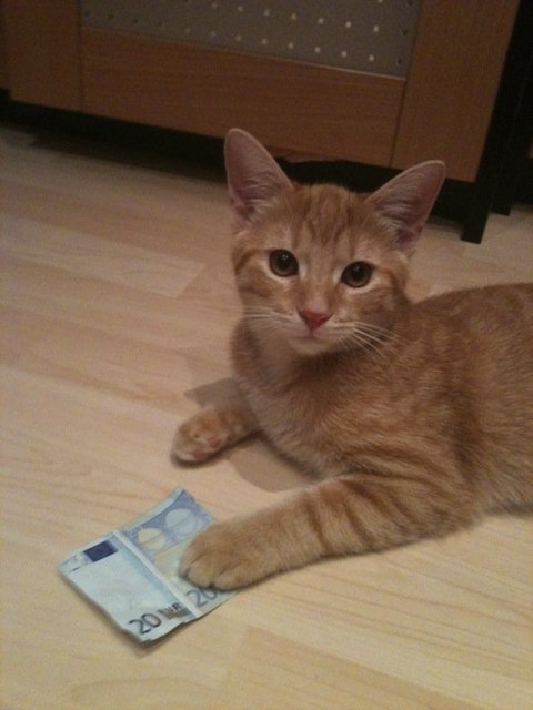 Der Herr des Geldes!