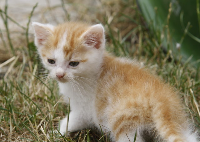 gerettet und jetzt mal auf erkundungstour