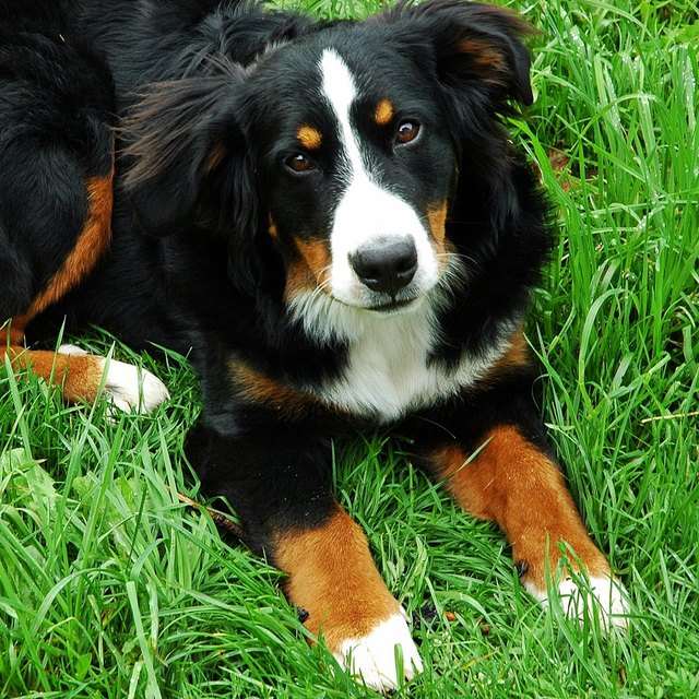 ... und was gibt's jetzt ...???