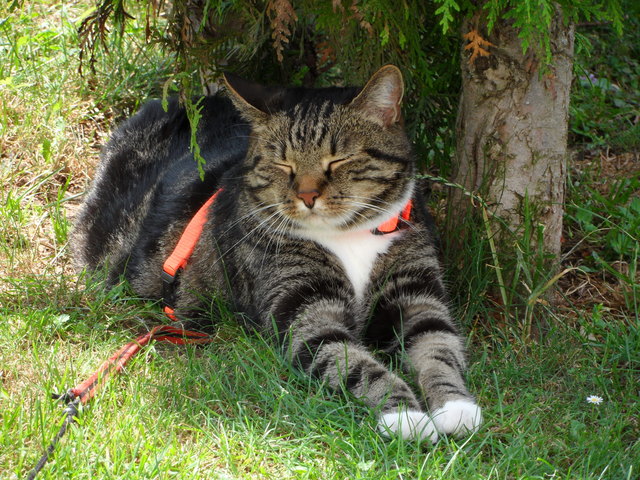 siesta - bitte nicht stören