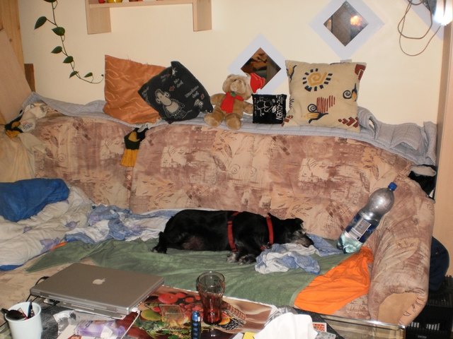 Hätt doch nicht die ganze Flasche austrinken sollen Pffffff