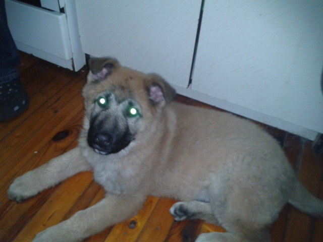 Ich bin noch ganz klein