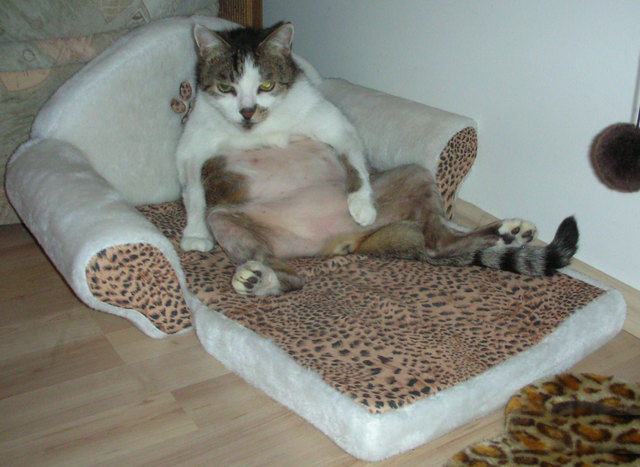 Aramis hat keinen "Kater" nach einer durchzechten Nacht!!!!