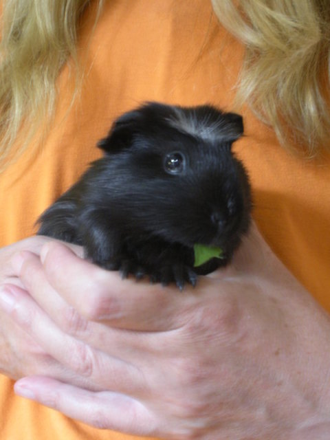 Meine kleine "Funny"