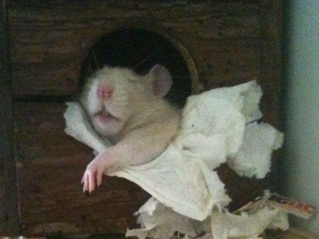 Ach war das eine anstrengende Nacht