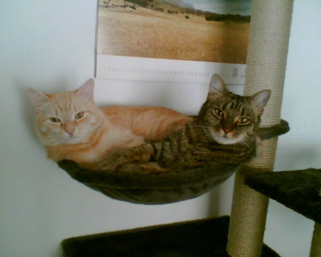 Nur zu zweit ist es kuschelig