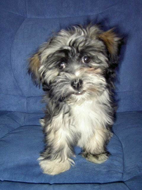 Guck mal wie toll ich schielen kann.............!