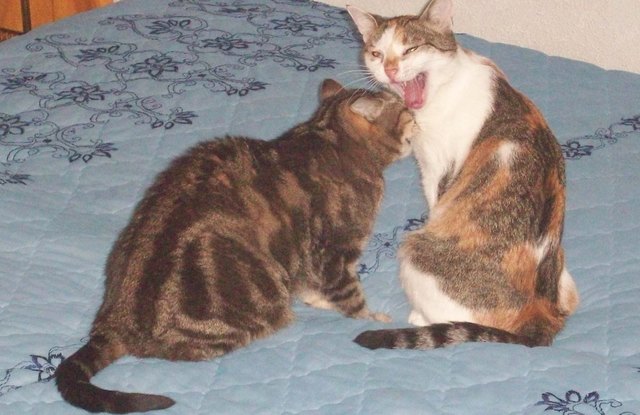 schleimen nützt Dir gar nichts mehr...