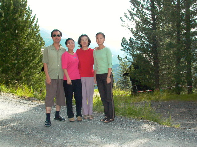 Zarewitsch der Zwergspitz