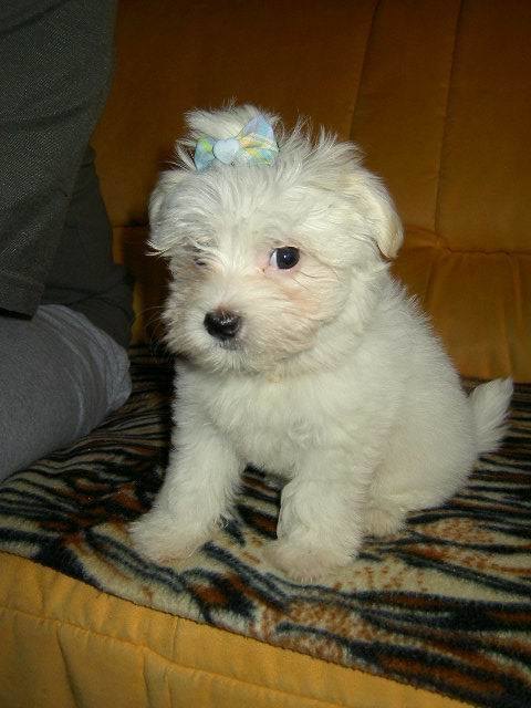 Angel,.... bin schon hübsch, wir können schon aus gehn!