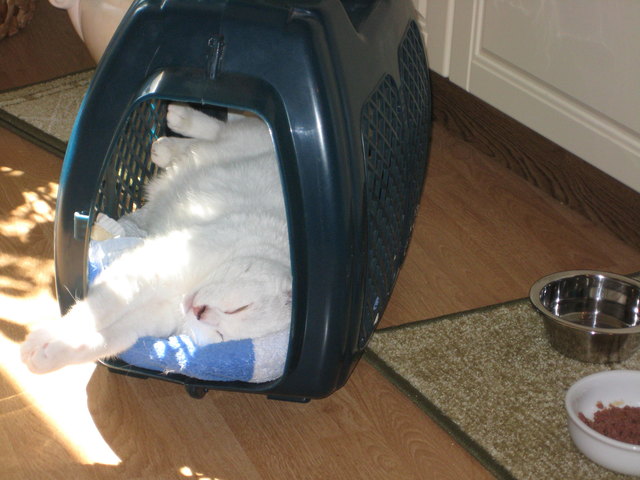 Das mach ich am liebsten