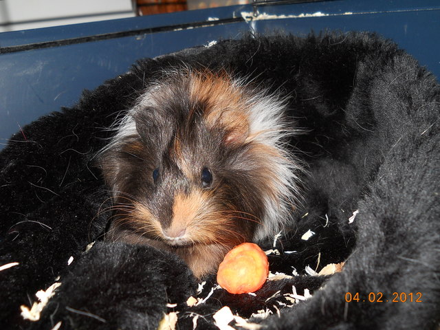 ich bin das Blümchen und schaue auch so aus