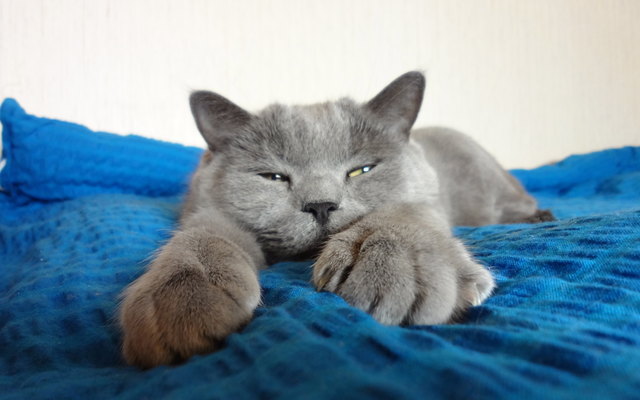 MexxKarly fühlt sich bei uns "pudelwohl"