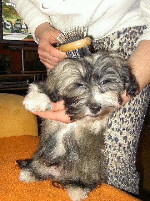 frisieren.........sind wir dann bald fertig???