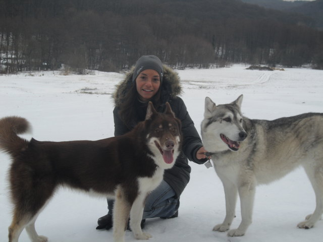 Ey mann wo ist mein Schlitten!?