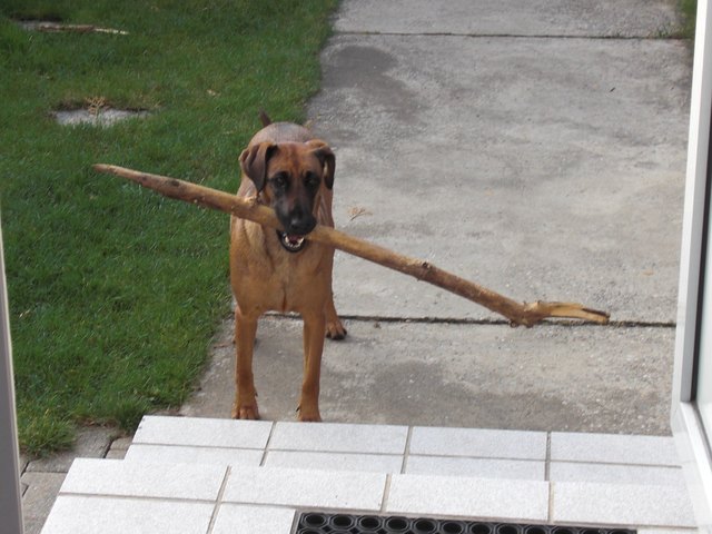 Xana ganz stolz mit ihrem Fundstück