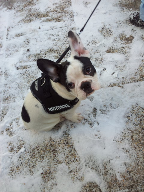 Pablo unsere Knutschkugel