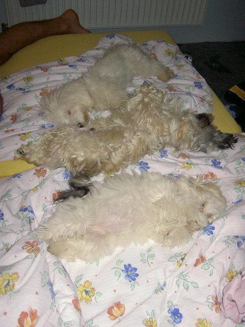 huch, sind wir erledigt..............!