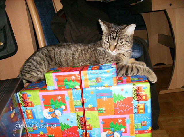 Ich bin das Christkind,Kira