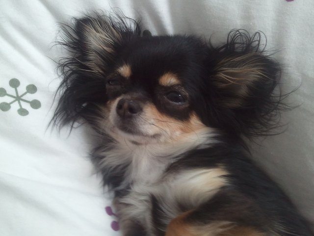 "Die Morgenstund´ kann mich mal" - unsere NALA