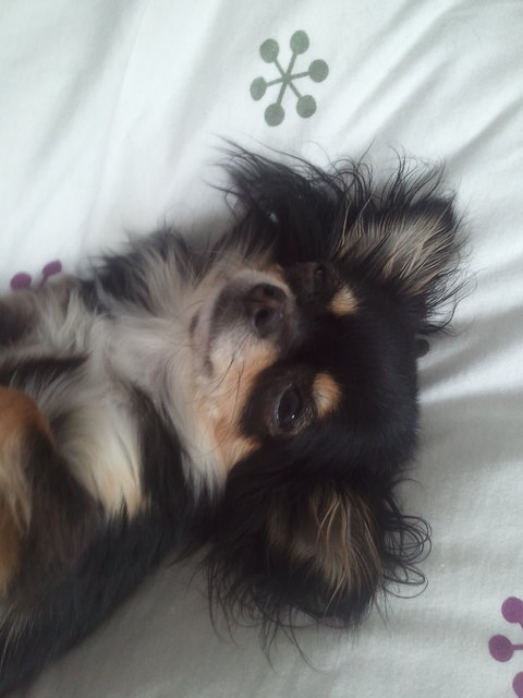 "Die Morgenstund´ kann mich mal" - unsere NALA