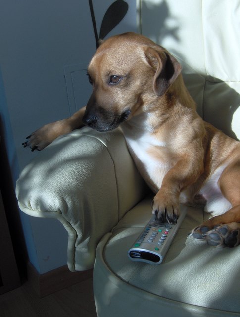 Wann beginnt endlich der Film?