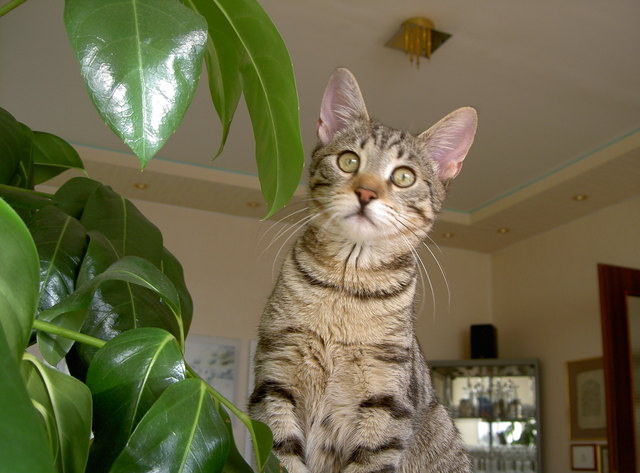 Was wollen die nur von mir?