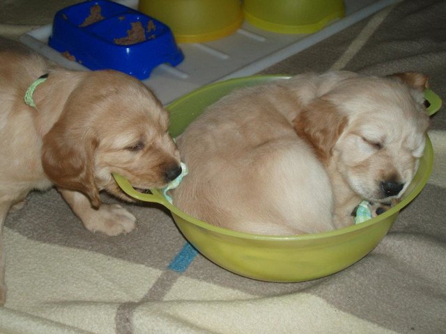 Bärli und Lilifee nach dem Wiegen er wahr so müde voll süß