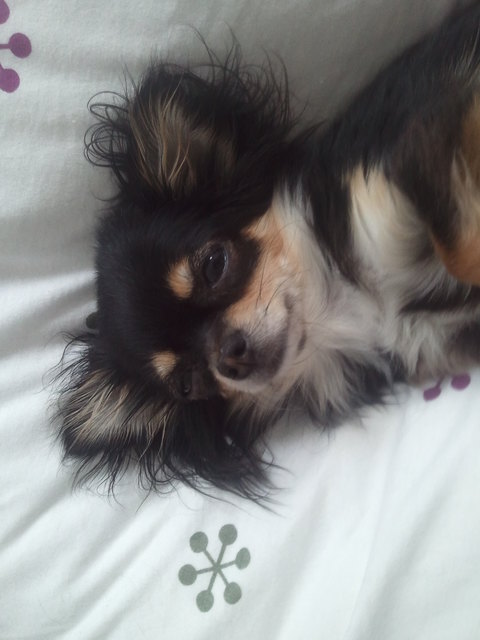 "Die Morgenstund´ kann mich mal" - unsere NALA