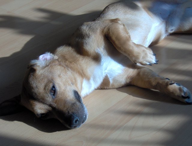 Das Leben ist so schön!