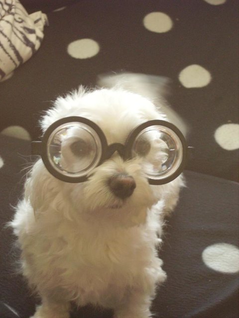 ...tja, alt sollte man nicht werden...!