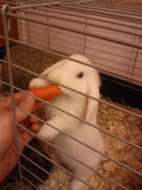 Blümchen bei ihrer Lieblingsbeschäftigung