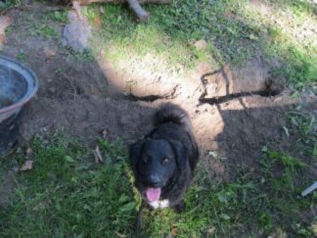 darf ich noch weiter graben?