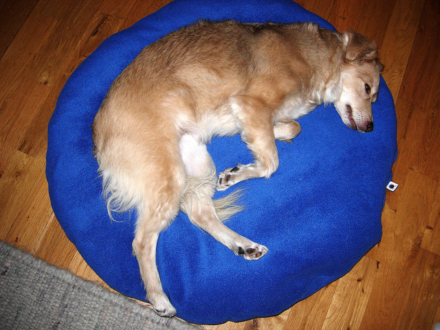 LUNA ( Entspannung )