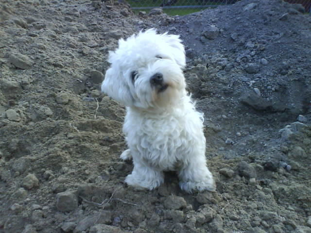 Yuma, mein Herzensbrecher 