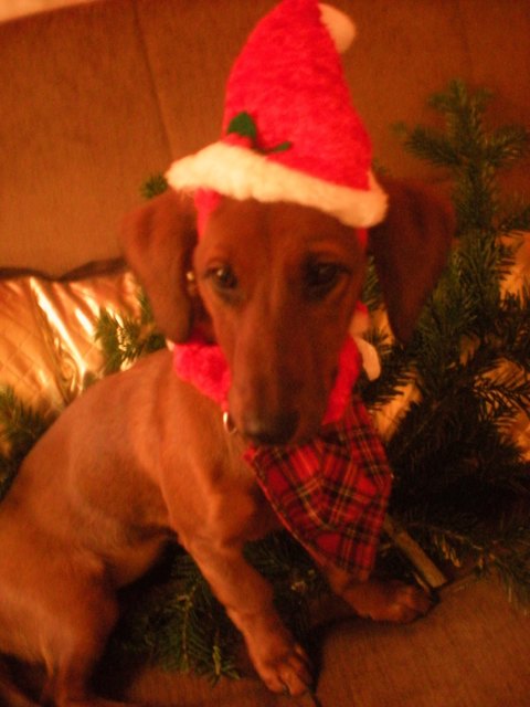 Angie unser gefundener Engel