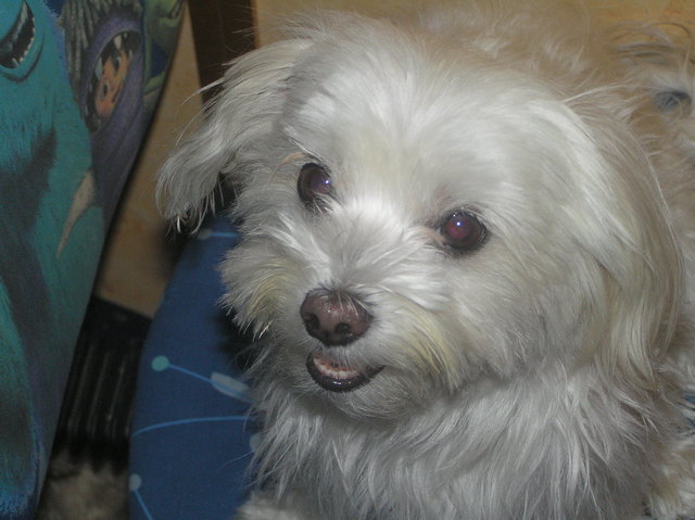 Jetzt gieb nir doch endlich mein Leckerli