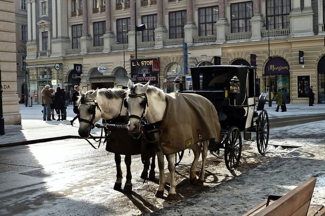 Unsere mobilen Wahrzeichen, die Fiaker, halten auch in diesen frostigen Zeiten die Stellung