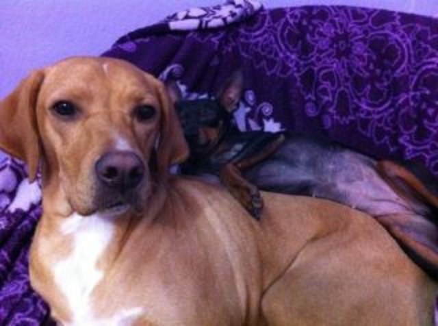 =) Es is sooooo toll auf meiner großen Freundin zu schlafen gg