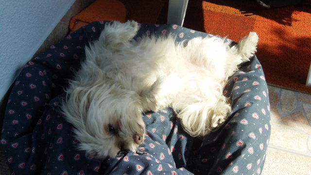 Ich lieg so gut, das tut gut