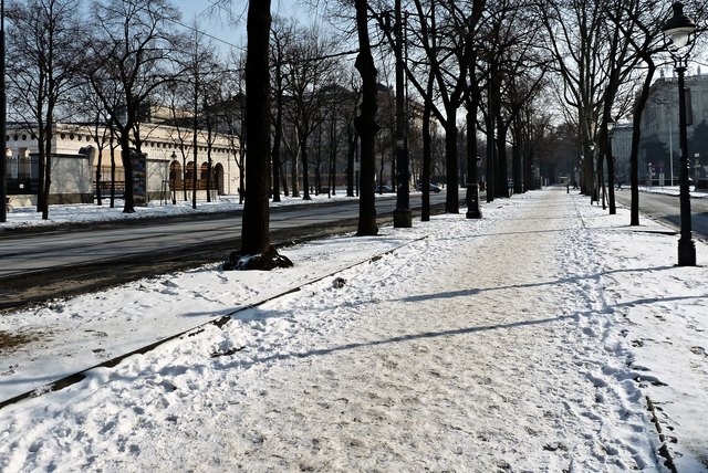 Die Promenade am Ring, zwischen den Museen und dem Neuen Burgtor