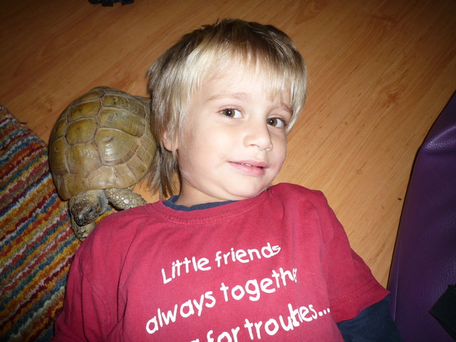 Schildkröte Max und Jakob - Best Friends