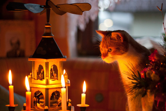 Warten aufs Christkind