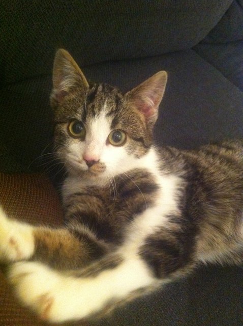 die süße Phoebe :)