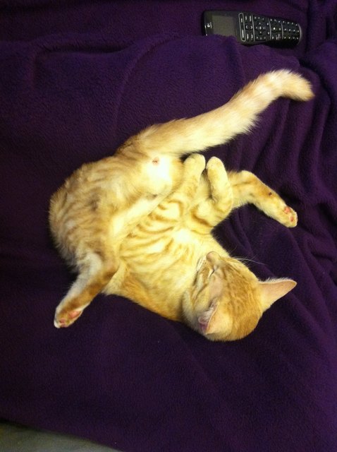 und er ist schon im Land der Träume :D